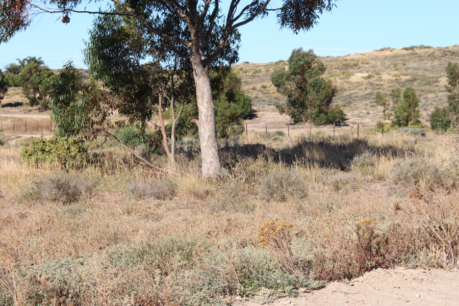 0 Bedroom Property for Sale in St Helena Views Western Cape